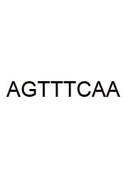 A Guide To The Twenty Common Amino Acids