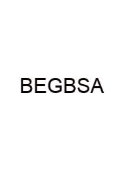 Basic English Grammar Betty Schrampfer Azar
