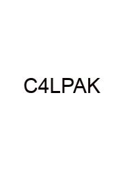 Capitulo 4b Los Planes Answer Key