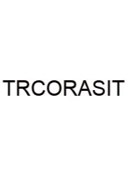 The Rna Components Of Ribosomes Are Synthesized In The