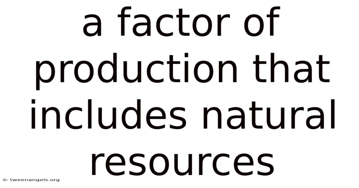 A Factor Of Production That Includes Natural Resources