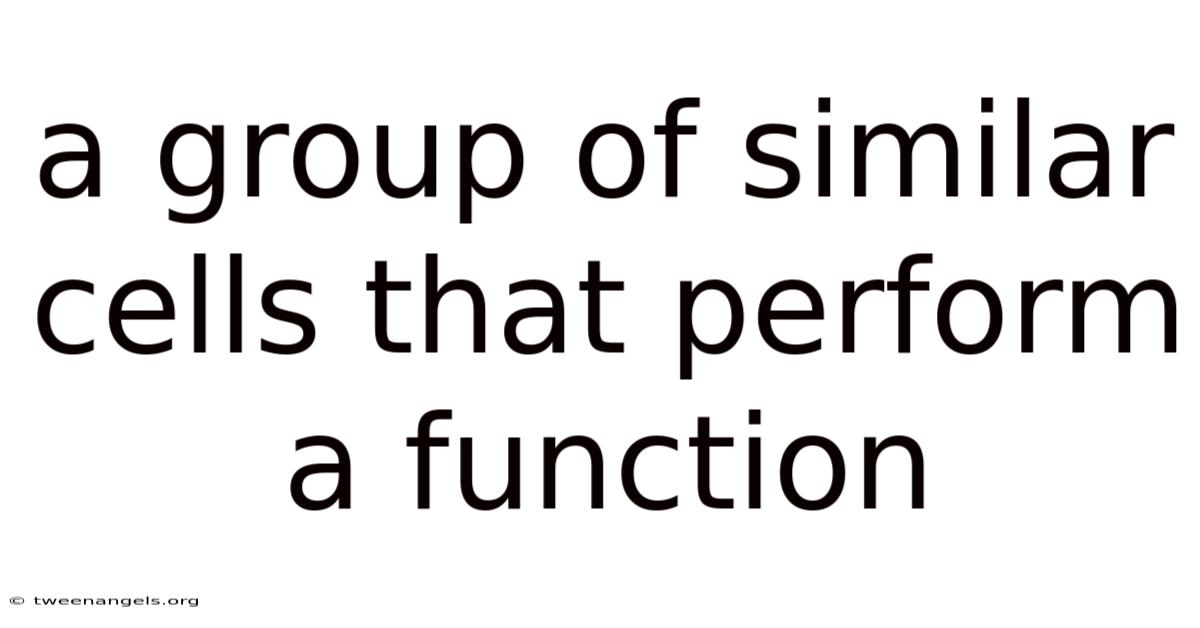 A Group Of Similar Cells That Perform A Function