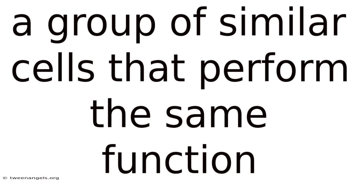 A Group Of Similar Cells That Perform The Same Function
