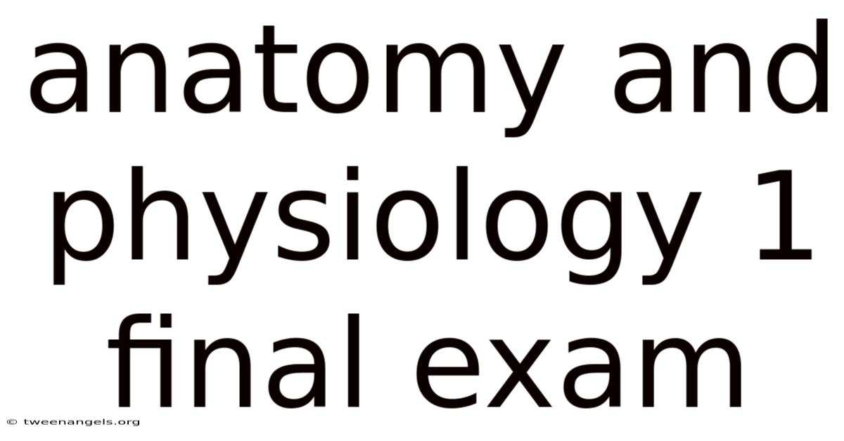Anatomy And Physiology 1 Final Exam