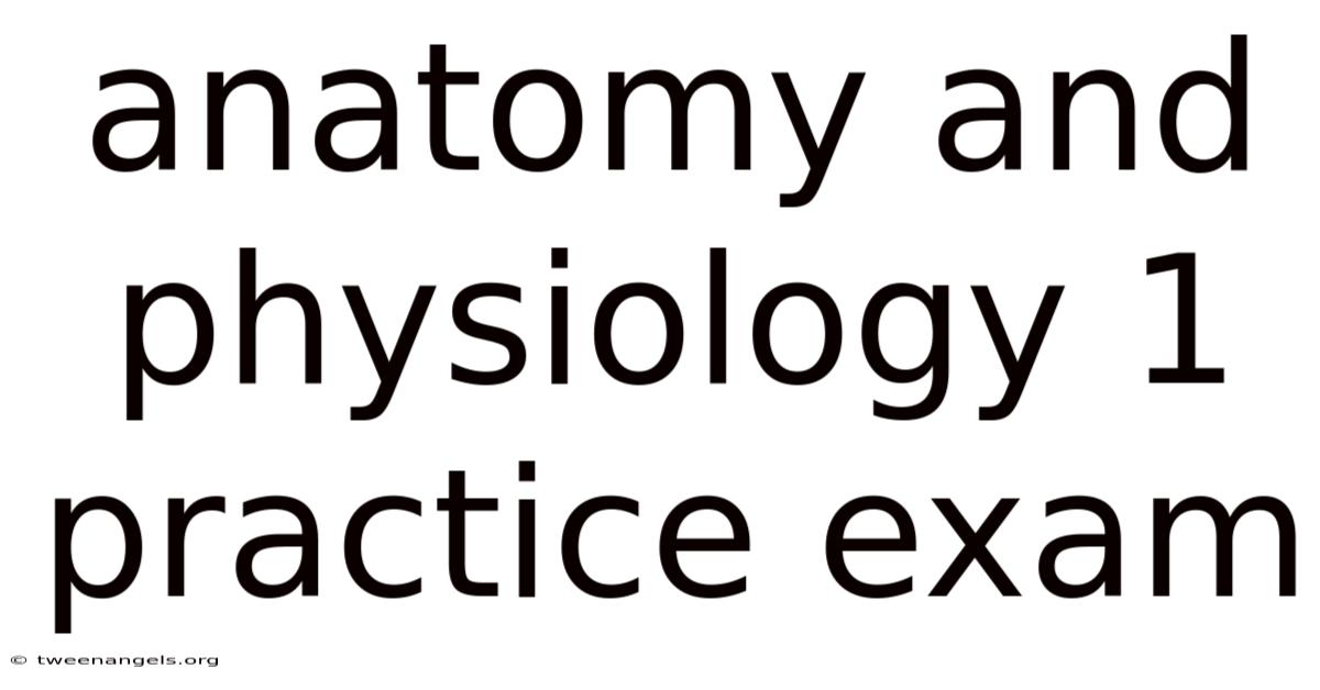 Anatomy And Physiology 1 Practice Exam