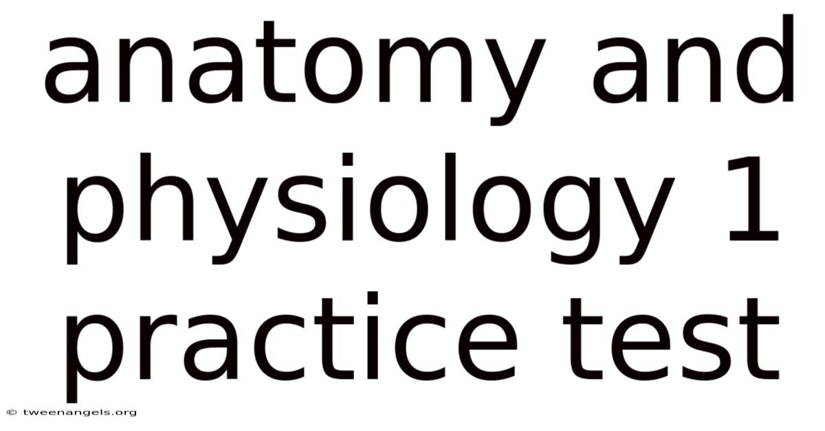 Anatomy And Physiology 1 Practice Test