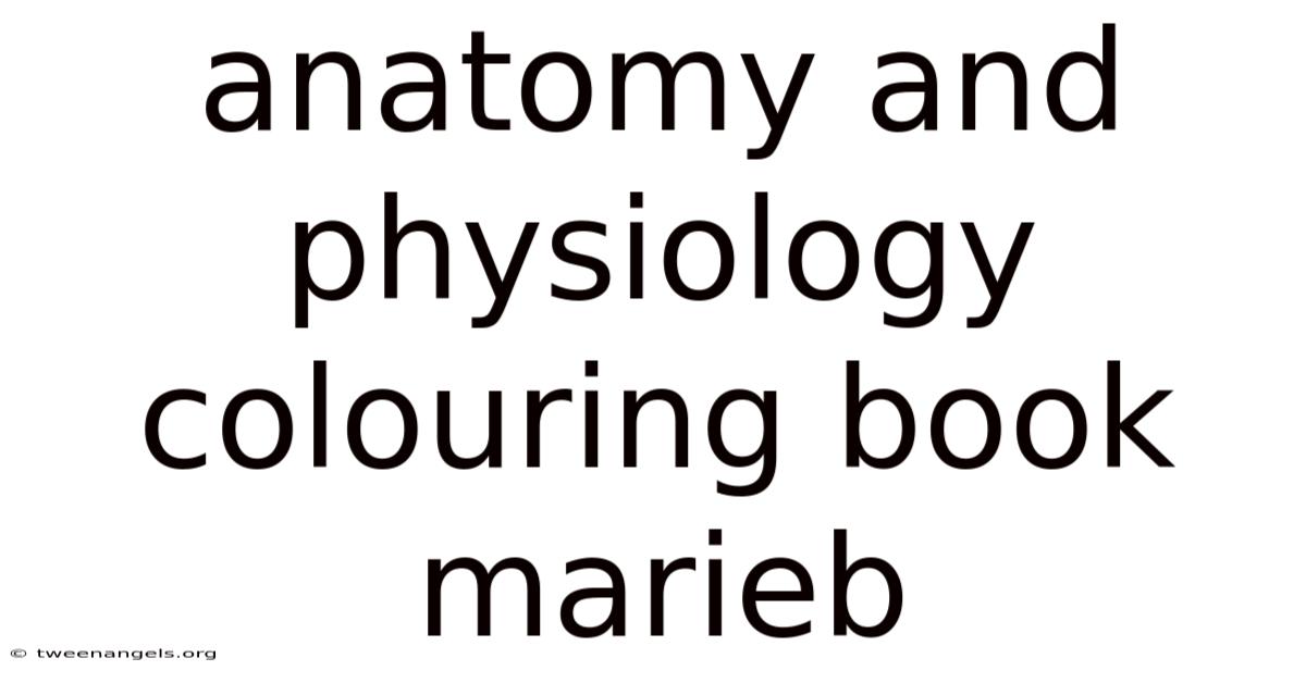 Anatomy And Physiology Colouring Book Marieb