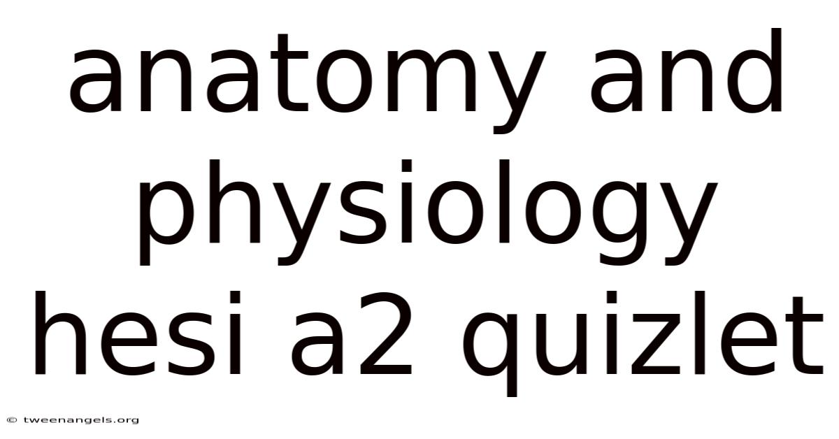 Anatomy And Physiology Hesi A2 Quizlet