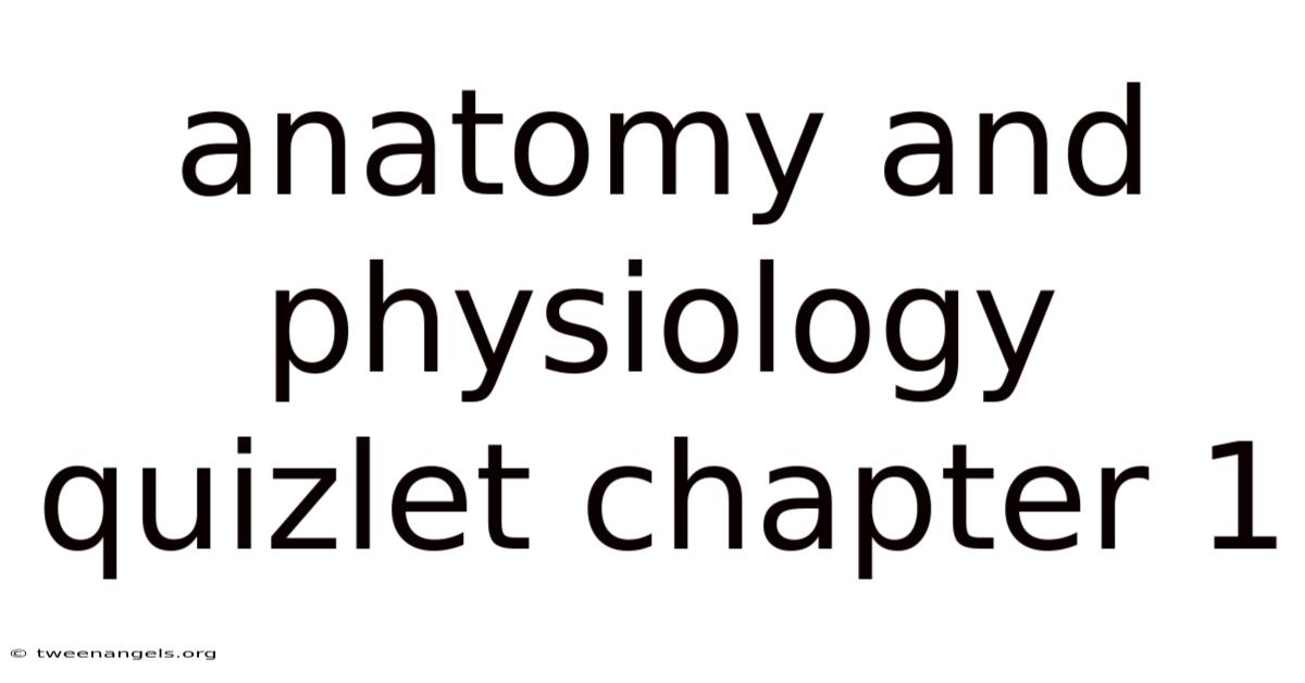 Anatomy And Physiology Quizlet Chapter 1