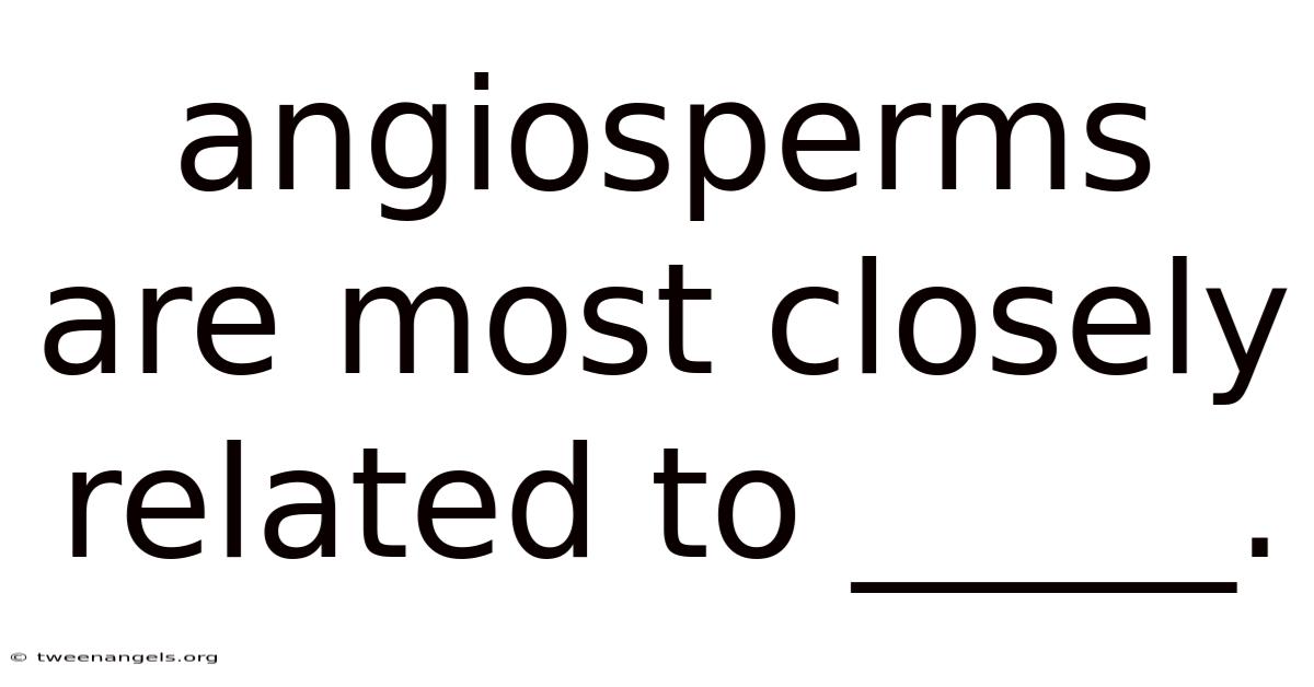 Angiosperms Are Most Closely Related To _____.