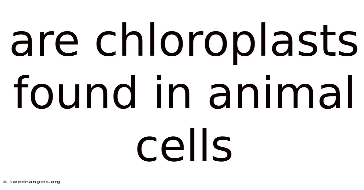 Are Chloroplasts Found In Animal Cells