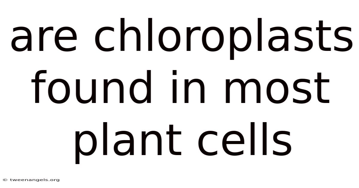 Are Chloroplasts Found In Most Plant Cells