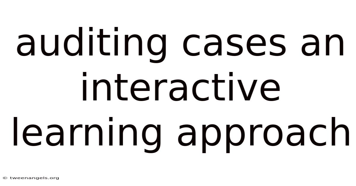 Auditing Cases An Interactive Learning Approach