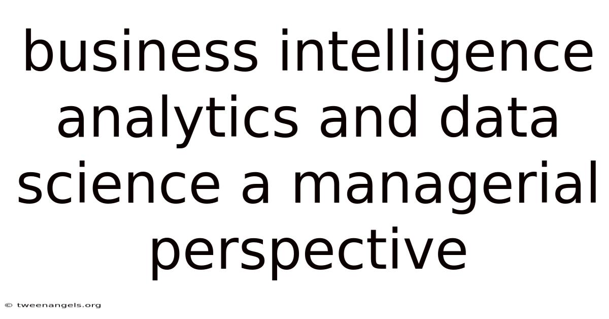 Business Intelligence Analytics And Data Science A Managerial Perspective