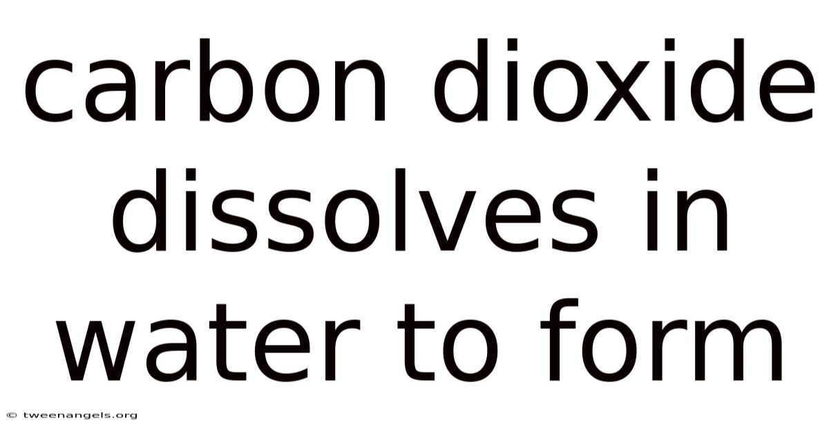 Carbon Dioxide Dissolves In Water To Form