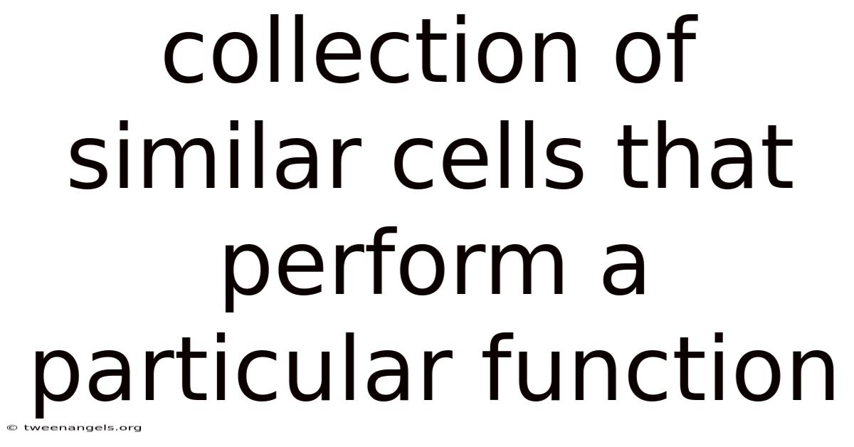 Collection Of Similar Cells That Perform A Particular Function