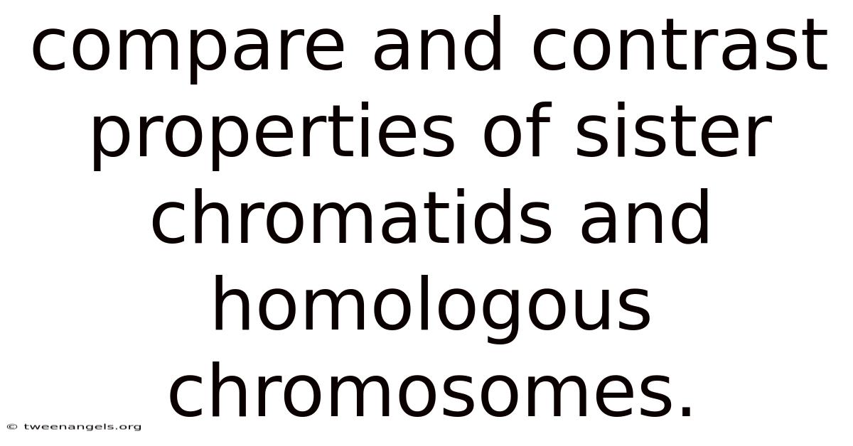 Compare And Contrast Properties Of Sister Chromatids And Homologous Chromosomes.