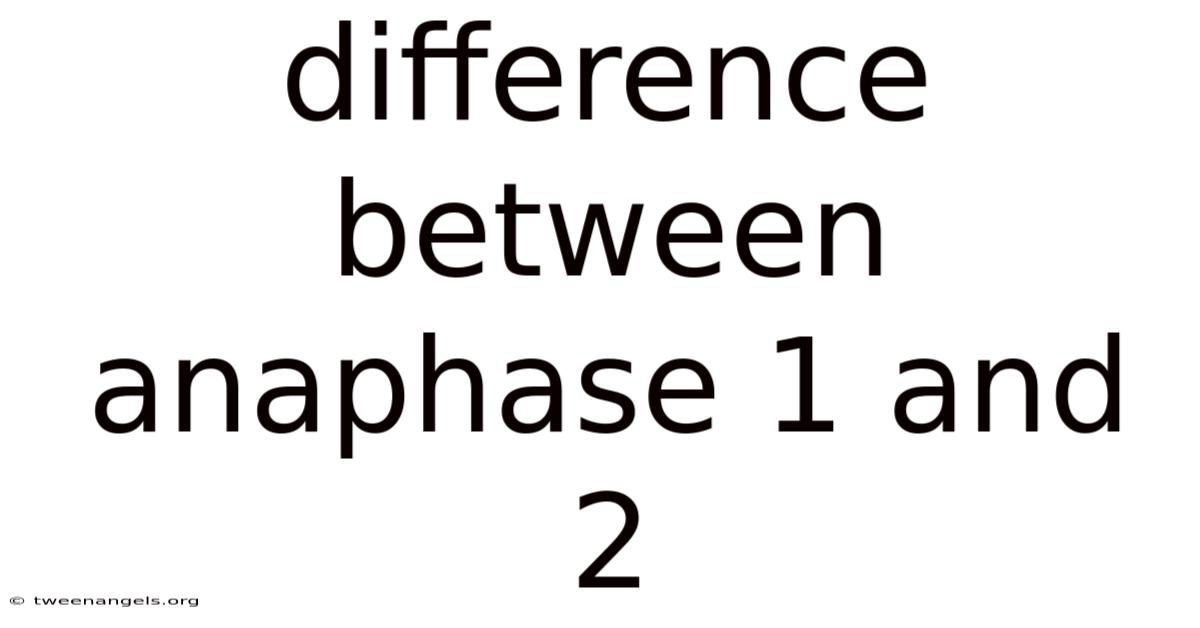 Difference Between Anaphase 1 And 2