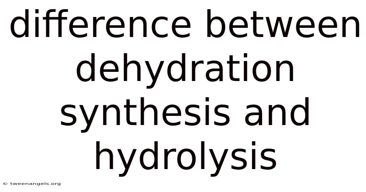 Difference Between Dehydration Synthesis And Hydrolysis