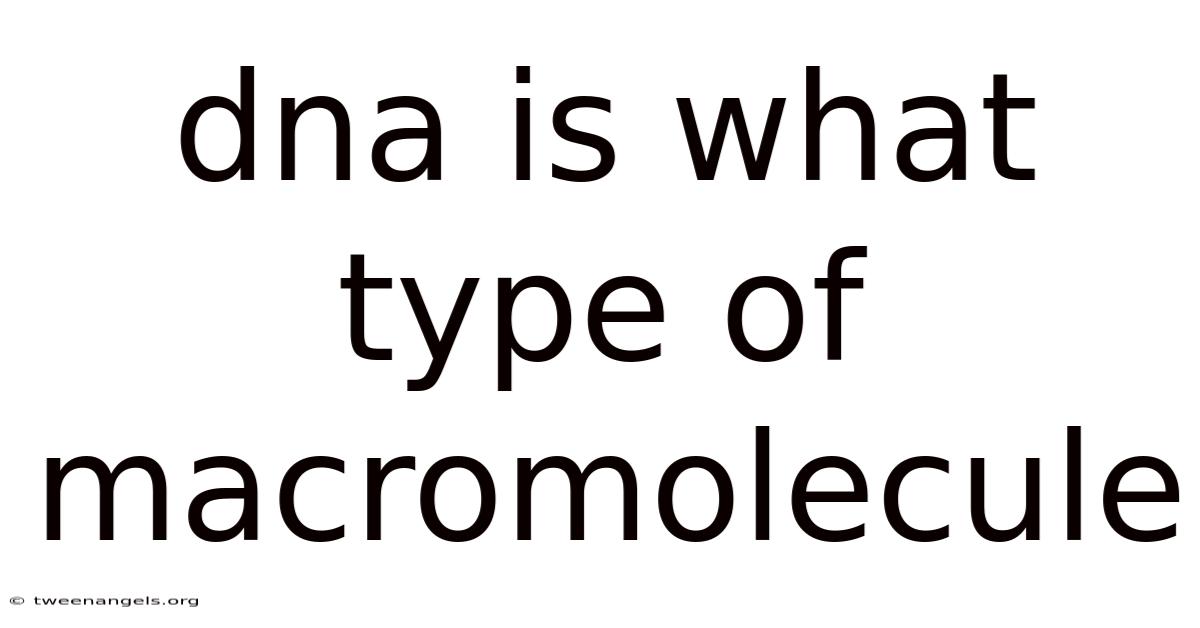 Dna Is What Type Of Macromolecule