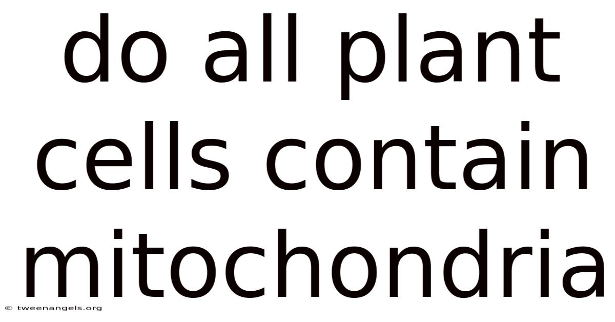 Do All Plant Cells Contain Mitochondria
