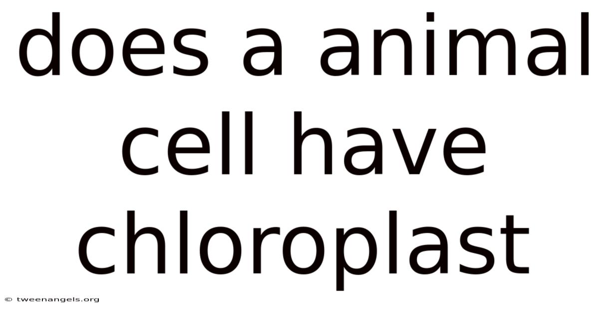 Does A Animal Cell Have Chloroplast