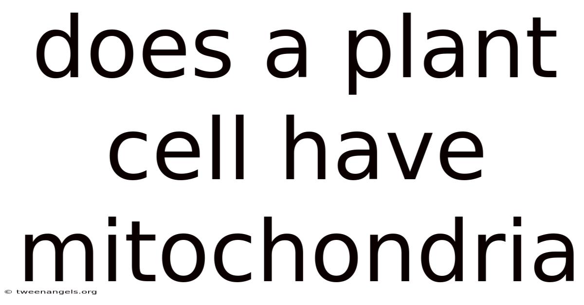 Does A Plant Cell Have Mitochondria