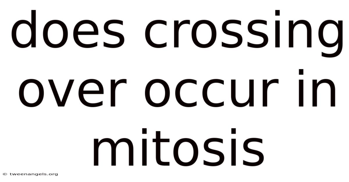Does Crossing Over Occur In Mitosis