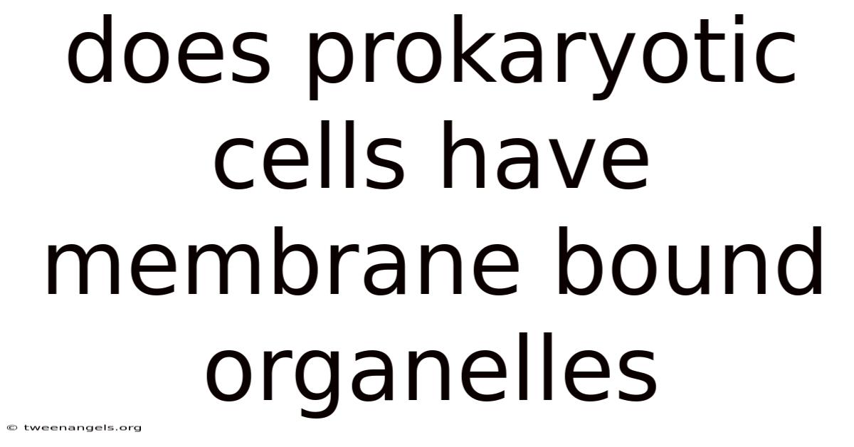Does Prokaryotic Cells Have Membrane Bound Organelles