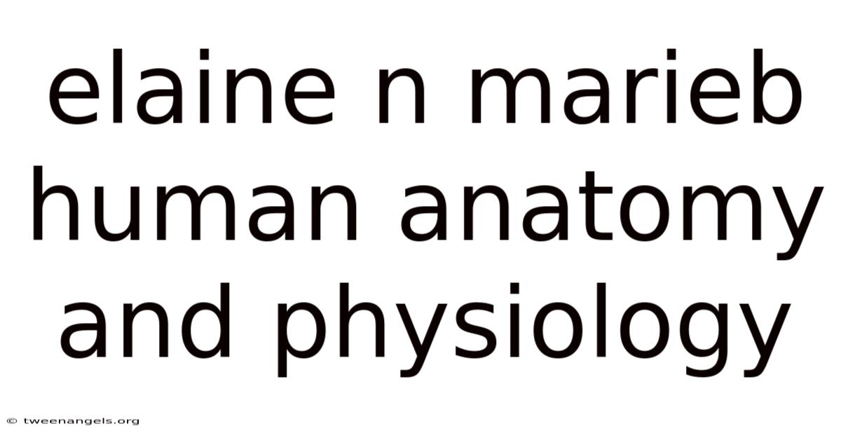 Elaine N Marieb Human Anatomy And Physiology