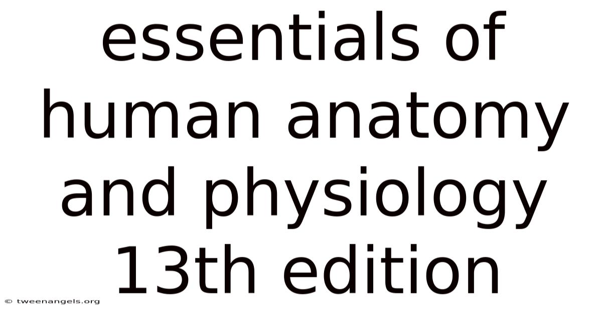 Essentials Of Human Anatomy And Physiology 13th Edition