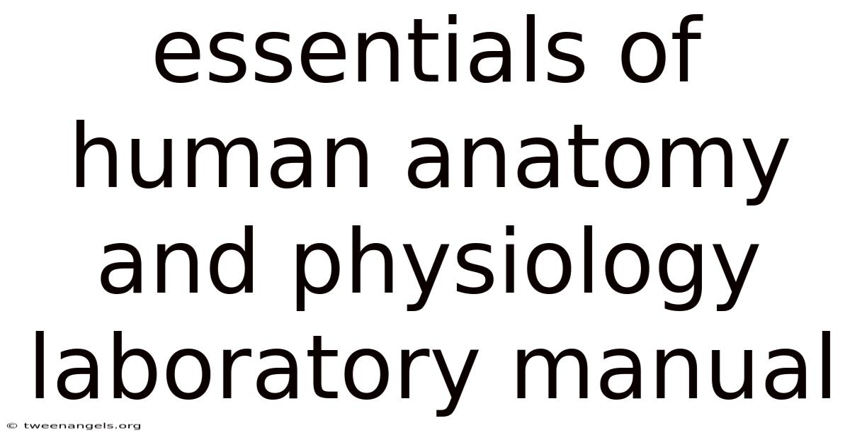 Essentials Of Human Anatomy And Physiology Laboratory Manual