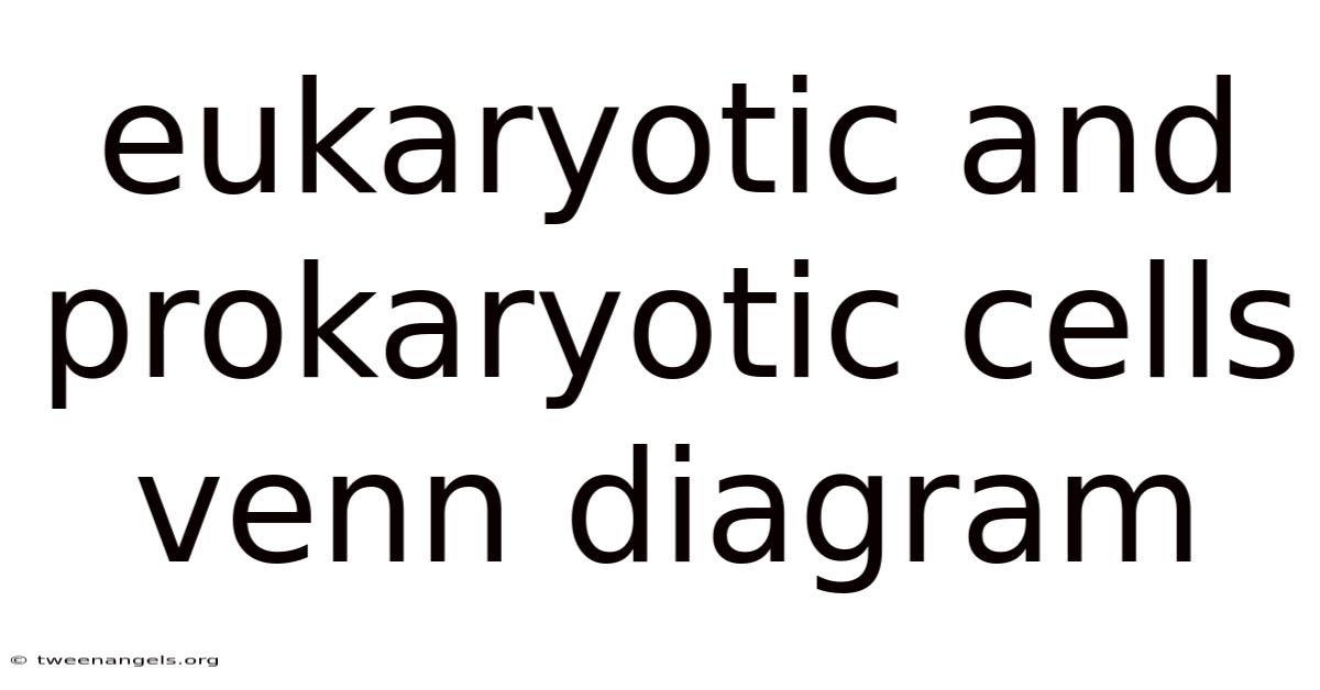 Eukaryotic And Prokaryotic Cells Venn Diagram