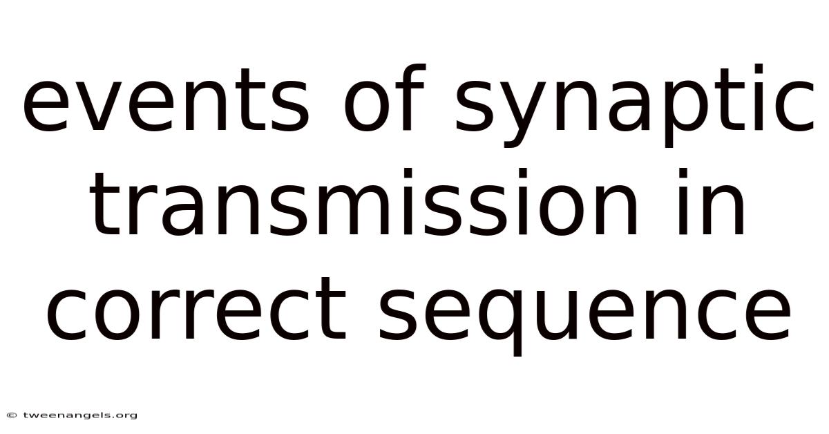 Events Of Synaptic Transmission In Correct Sequence