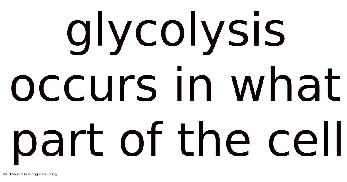 Glycolysis Occurs In What Part Of The Cell