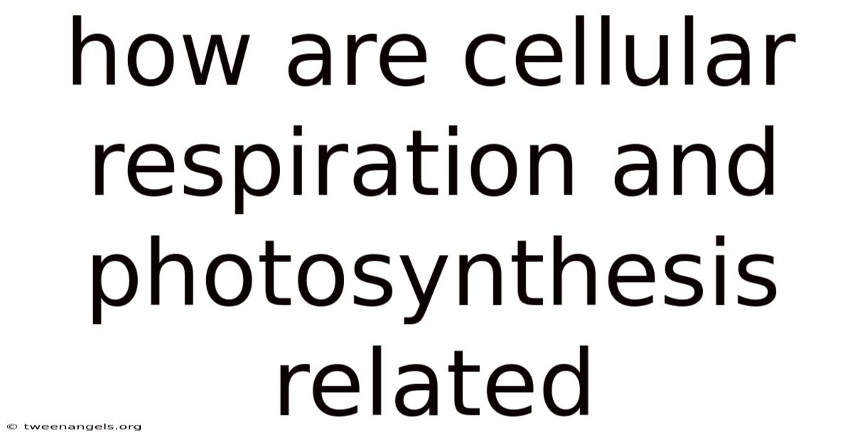 How Are Cellular Respiration And Photosynthesis Related