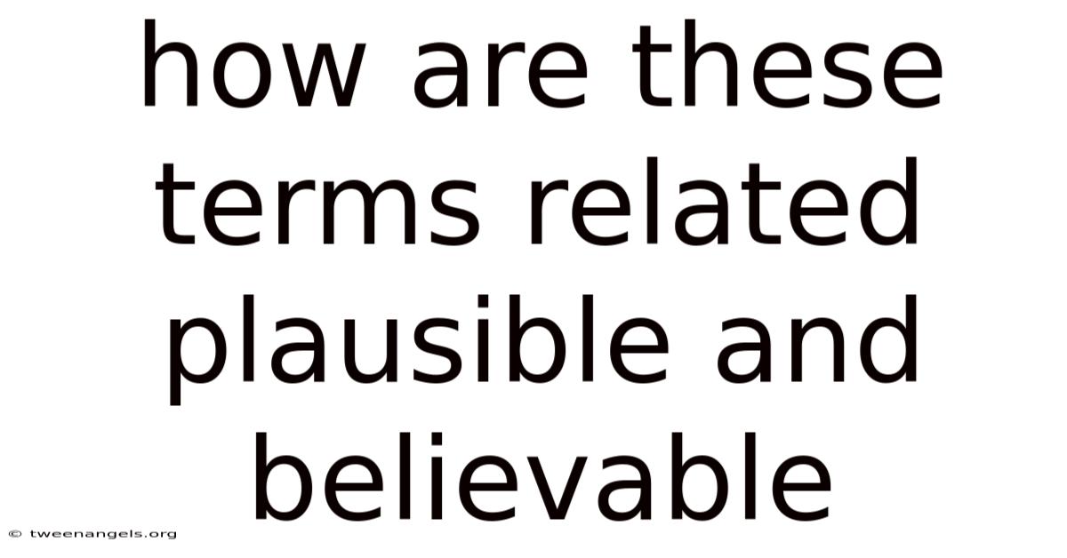 How Are These Terms Related Plausible And Believable