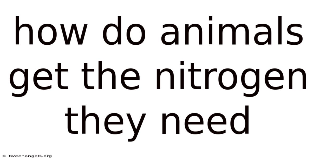 How Do Animals Get The Nitrogen They Need
