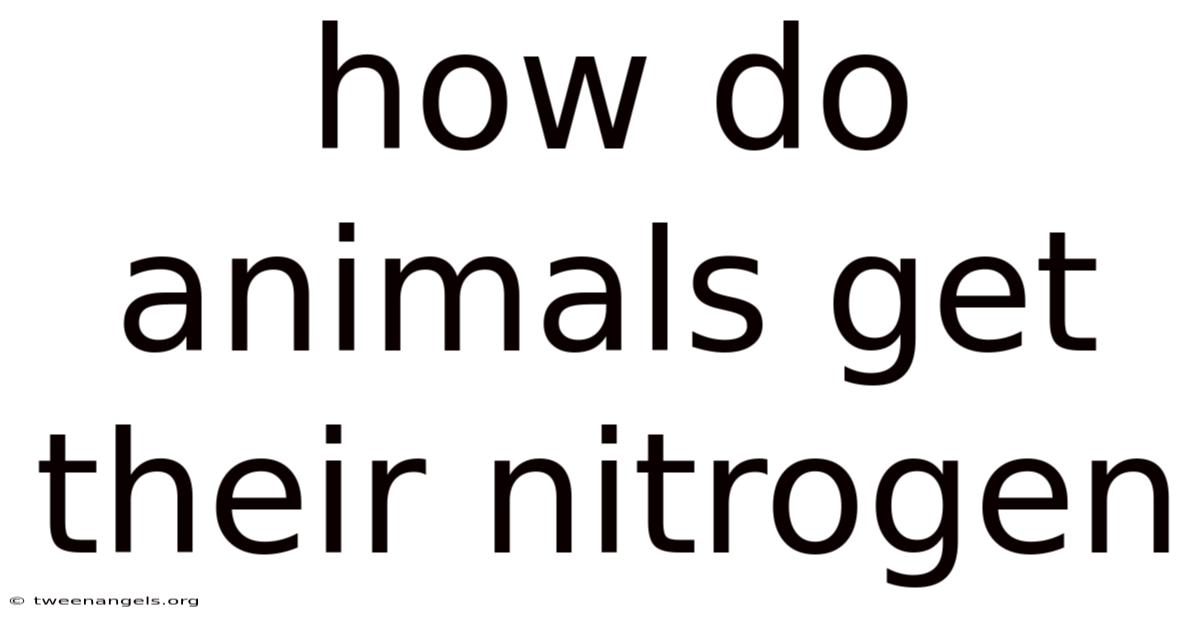How Do Animals Get Their Nitrogen