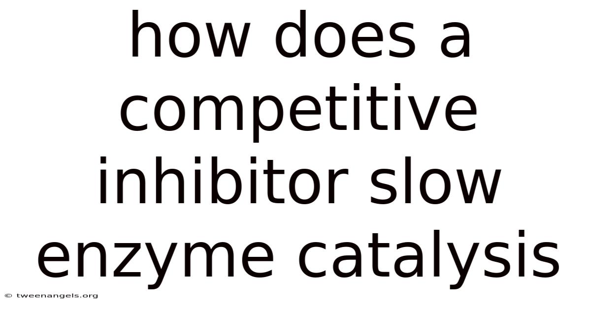 How Does A Competitive Inhibitor Slow Enzyme Catalysis