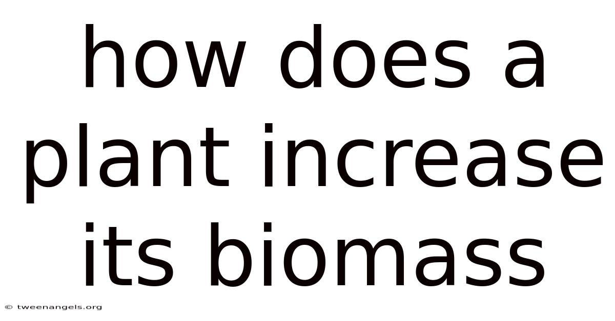 How Does A Plant Increase Its Biomass