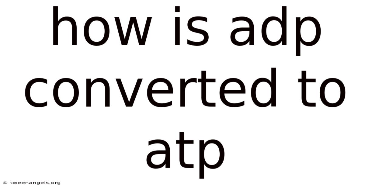 How Is Adp Converted To Atp