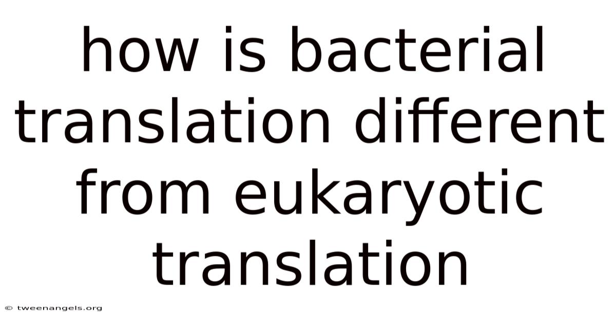 How Is Bacterial Translation Different From Eukaryotic Translation
