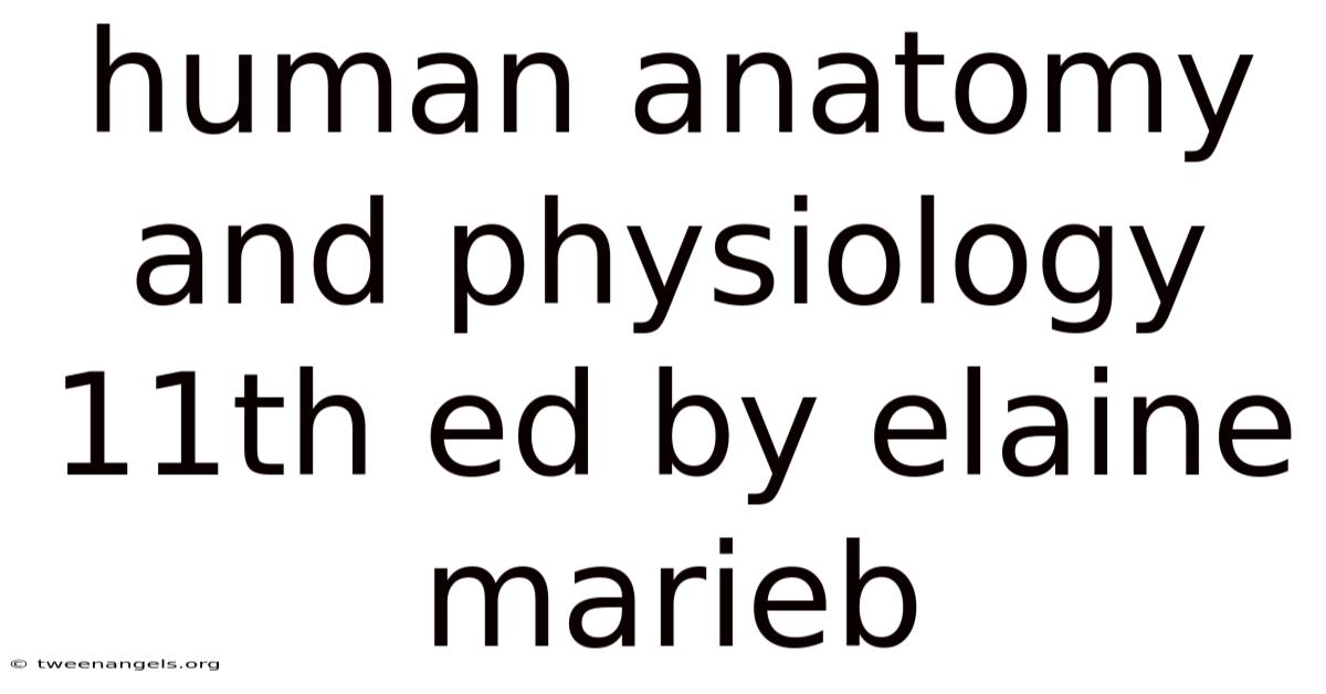 Human Anatomy And Physiology 11th Ed By Elaine Marieb