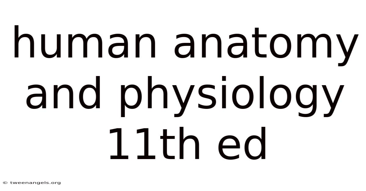 Human Anatomy And Physiology 11th Ed