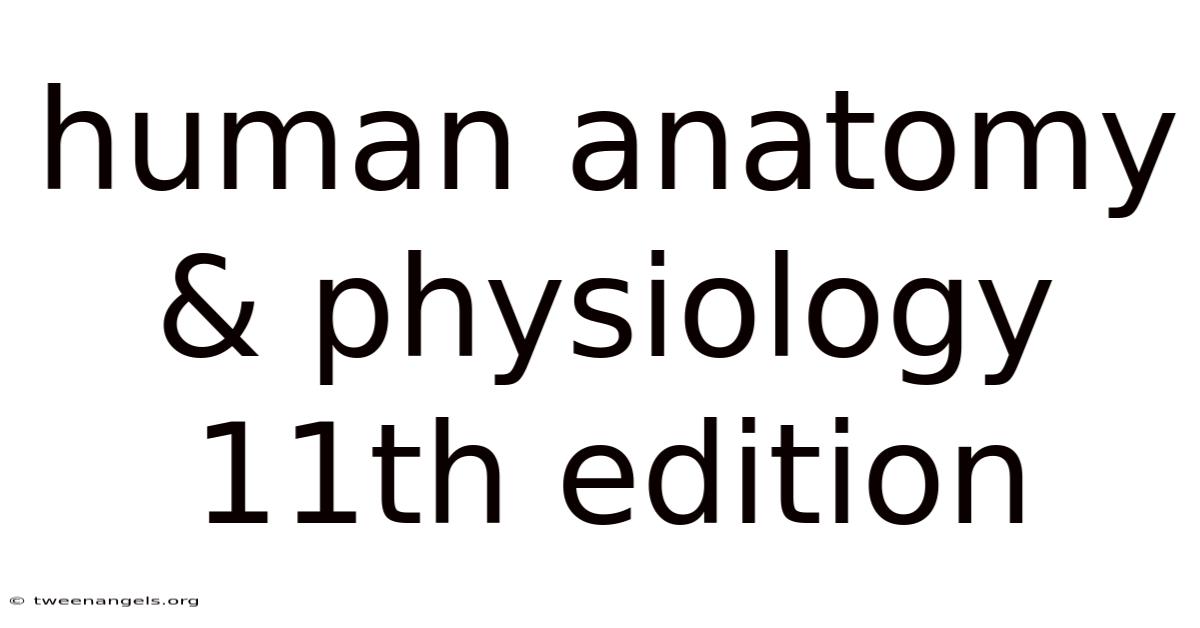 Human Anatomy & Physiology 11th Edition