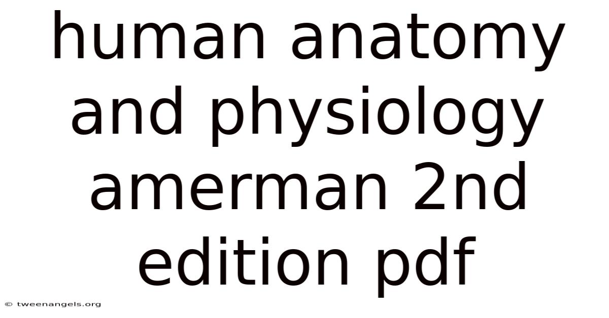 Human Anatomy And Physiology Amerman 2nd Edition Pdf
