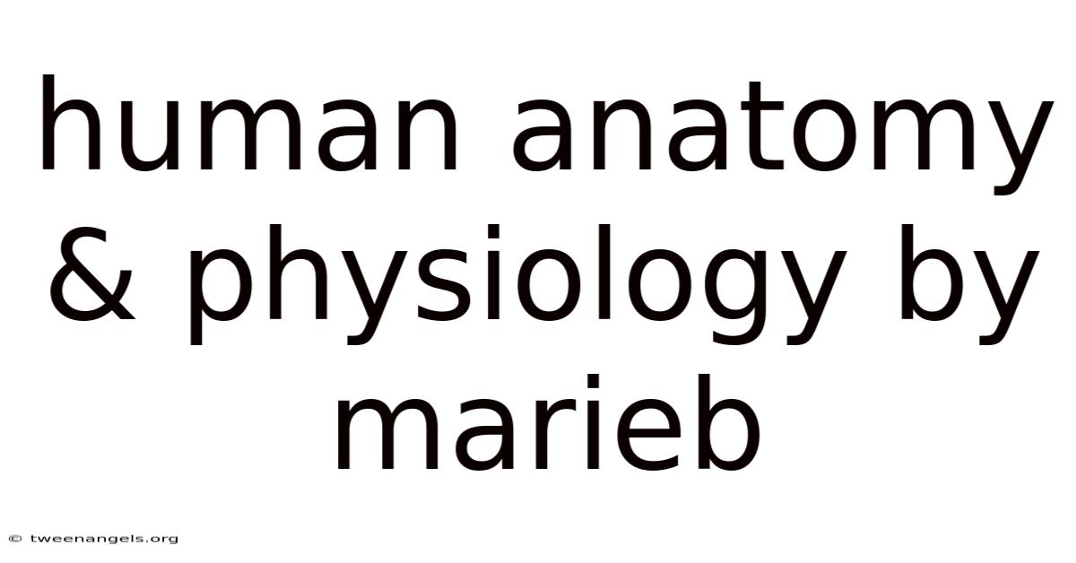 Human Anatomy & Physiology By Marieb