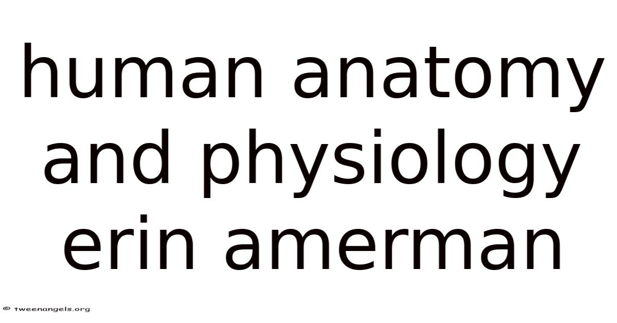 Human Anatomy And Physiology Erin Amerman
