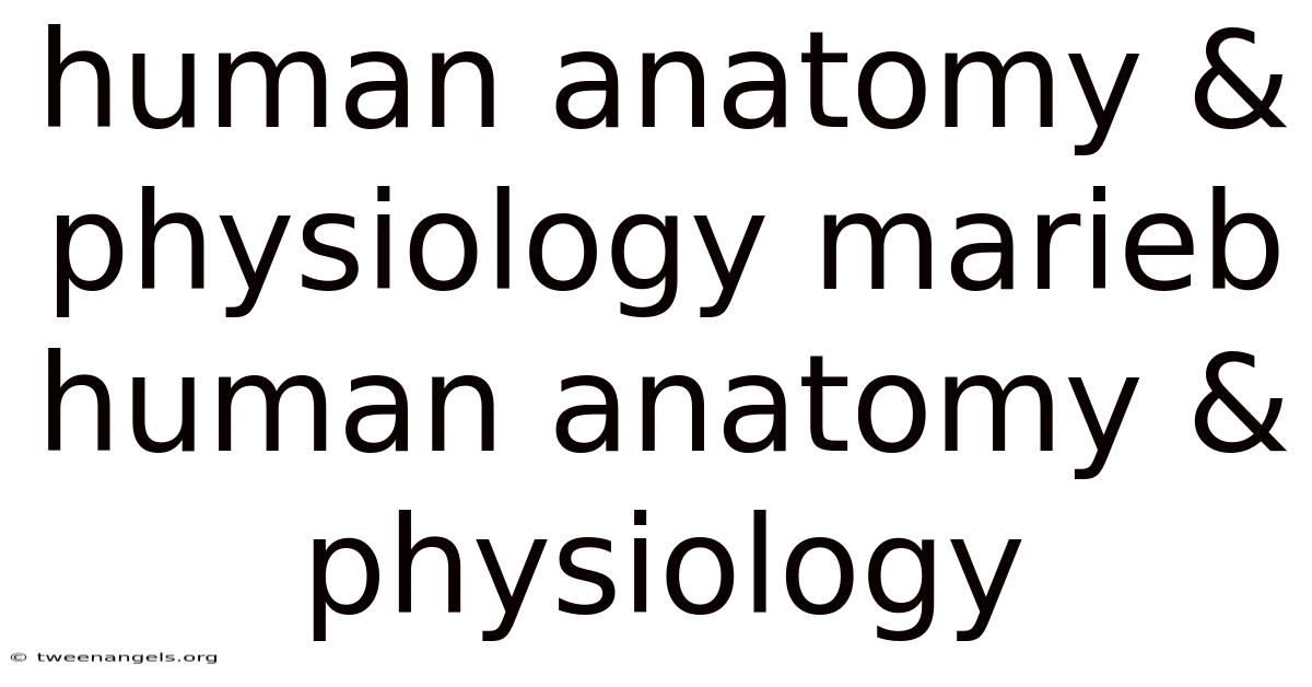 Human Anatomy & Physiology Marieb Human Anatomy & Physiology